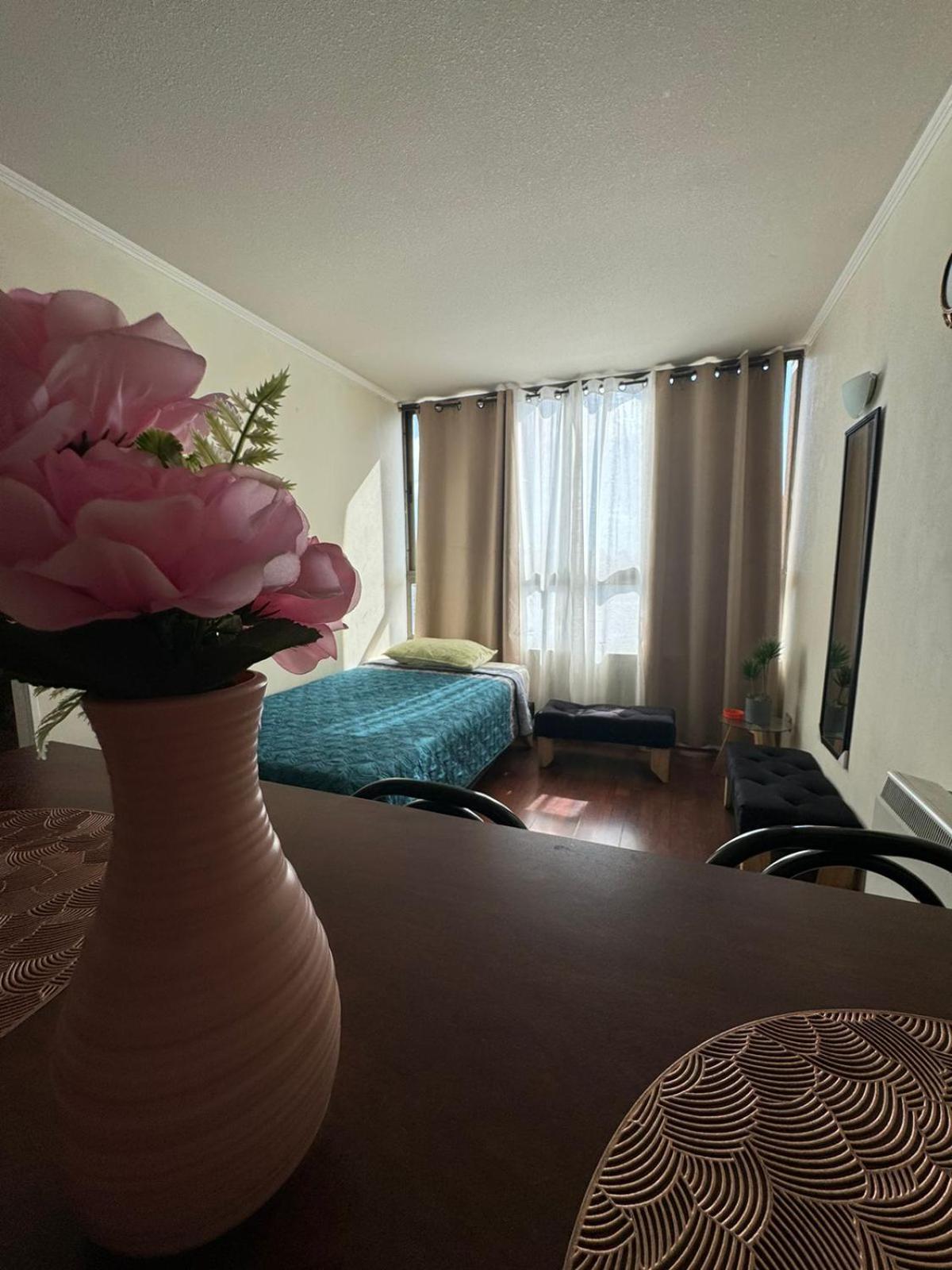 סנטיאגו Apartamentos Orquidea Suite מראה חיצוני תמונה