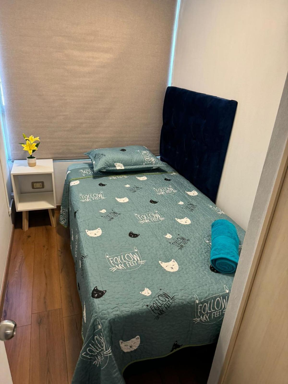 סנטיאגו Apartamentos Orquidea Suite מראה חיצוני תמונה