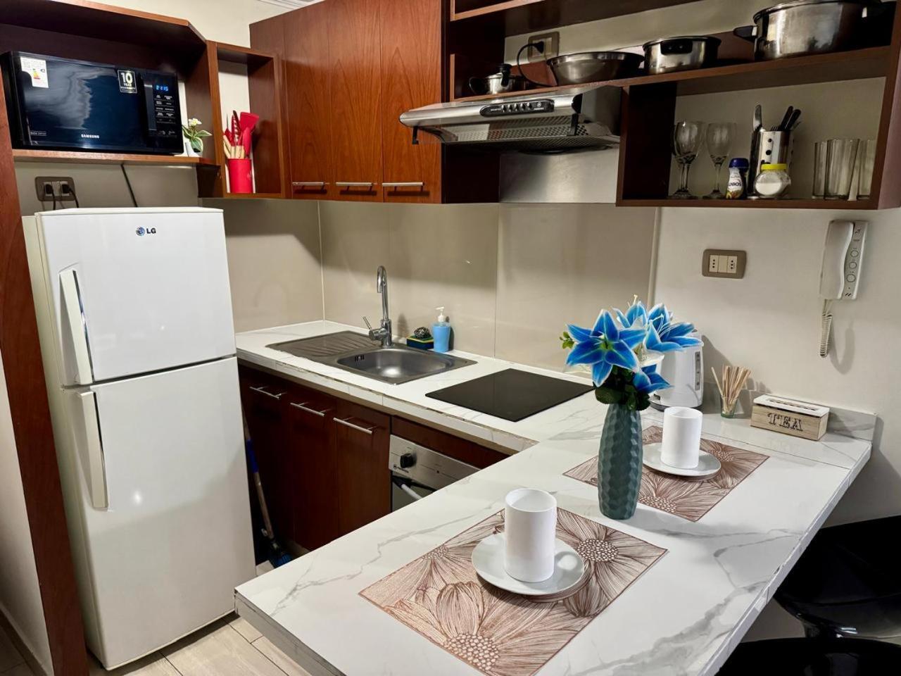 סנטיאגו Apartamentos Orquidea Suite מראה חיצוני תמונה